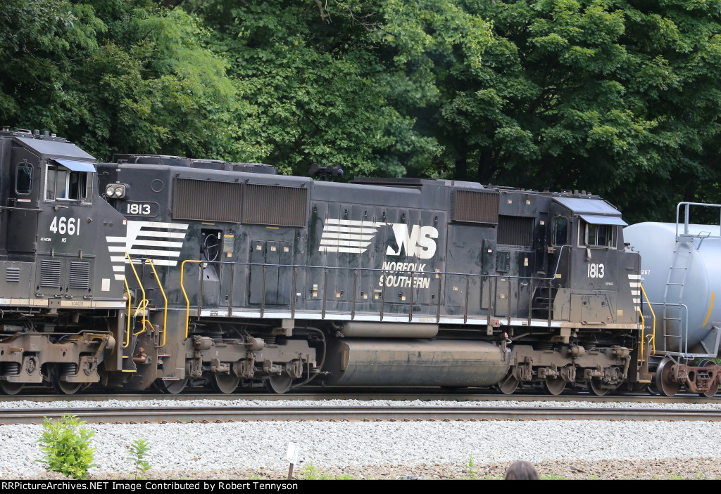 NS 1813